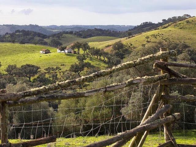 Monte Da Gravita Ribeira do Salto 외부 사진